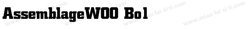 AssemblageWOO Bold字体转换